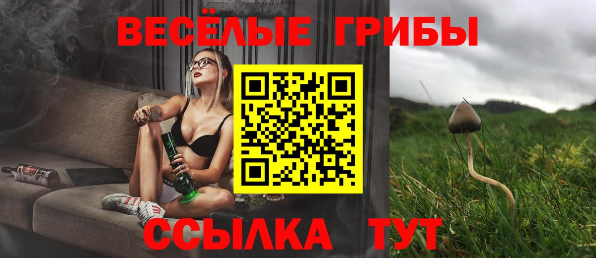 Псилоцибиновые грибы Psilocybine cubensis Белогорск